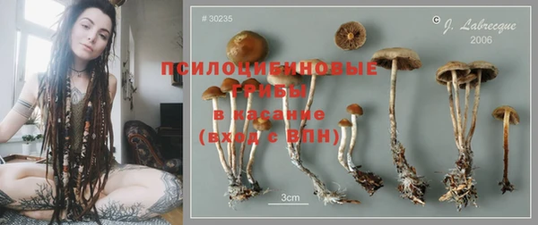 дмт Арсеньев