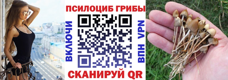 Псилоцибиновые грибы прущие грибы  Сатка 